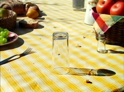 خیلی خیلی کوچک (1) (پیک نیک)